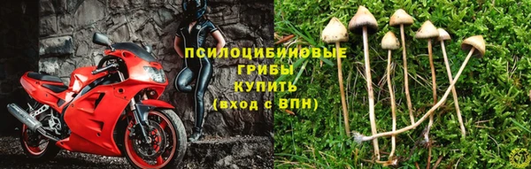 амф Белокуриха