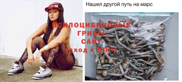 амф Белокуриха