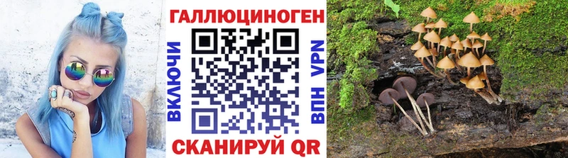 Галлюциногенные грибы прущие грибы  Городец 