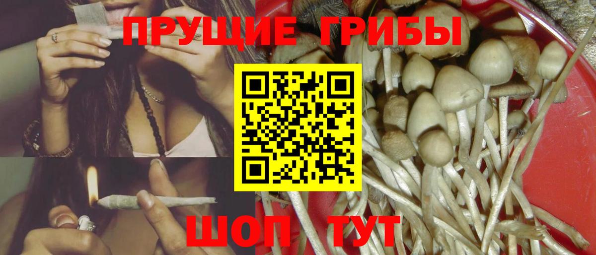 Городец  Галлюциногенные грибы ЛСД  Псилоцибиновые грибы Cubensis  Вход с VPN 